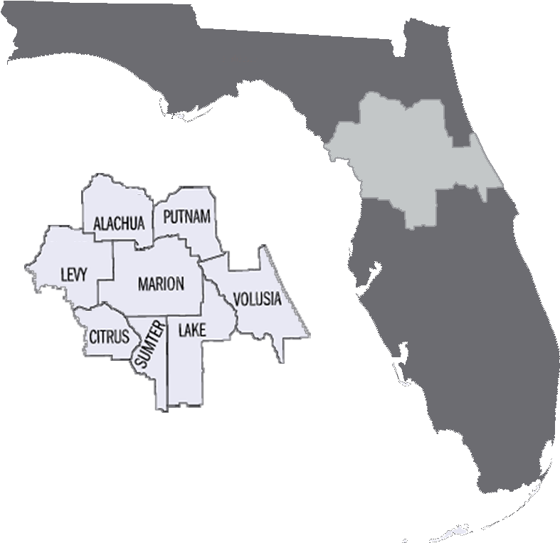 Download Transparent Florida Map - 267 2671502 Florida Map Png 