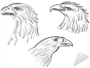 Three Eagle Head Sketches Isolated On White Sticker - Sketch (400x400), Png Download