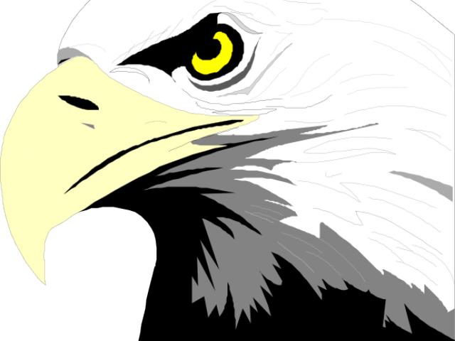 Eagle Head Clipart - Cape Breton Screaming Eagles Logo (640x480), Png Download