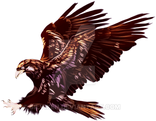 Tiger The Eagle Print- Artist Proof - Eagle (600x469), Png Download