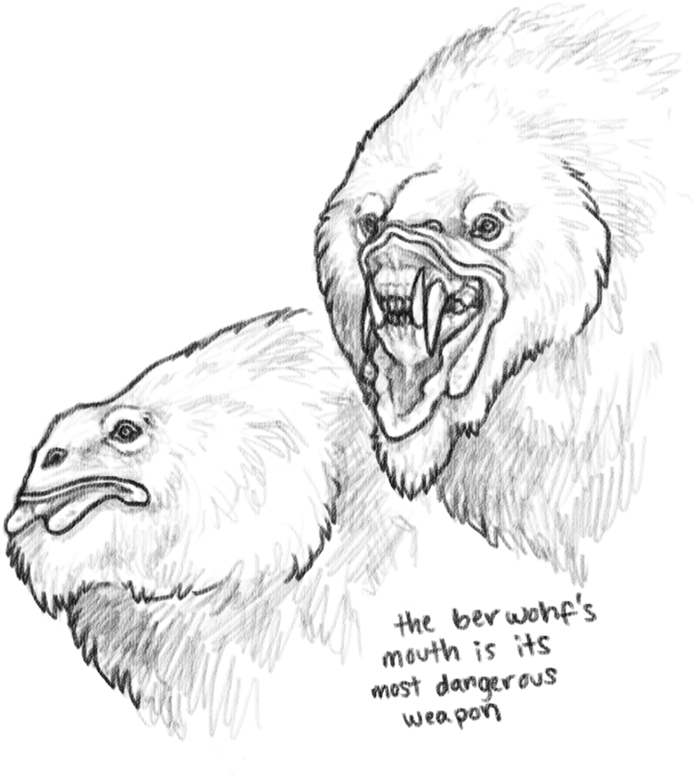 Berwohf (1000x1000), Png Download