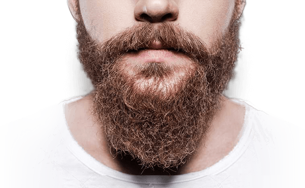 The Shaving Co Beard Oil Works - Gentleman's Beard Club Results (605x373), Png Download