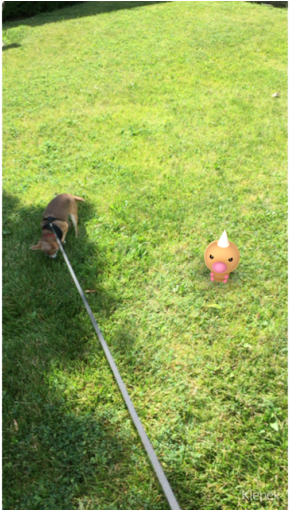 Ahgemhhqdgvyvgnor7nc - Pokemon Go On Grass (636x509), Png Download