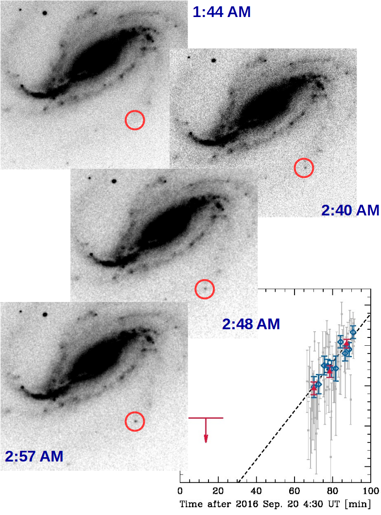 Víctor Buso's Images, Showing The Sudden Emergence - Victor Buso (794x1058), Png Download
