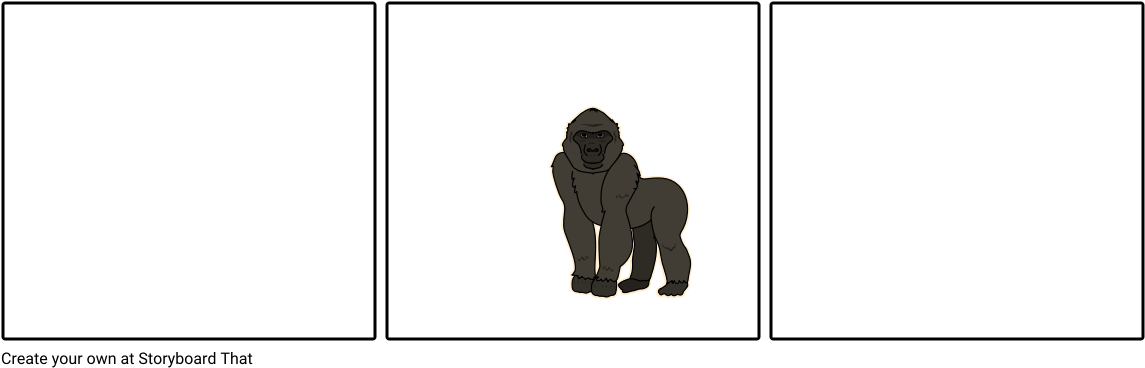 Ape - Western Lowland Gorilla (1164x385), Png Download