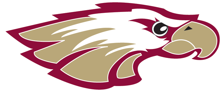 Robert Morris University Logo Robert Morris University - Robert Morris University Chicago Logo (744x308), Png Download
