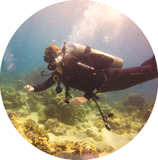 The Shack Vietnam Nha Trang Scuba Diving Courses And - Nha Trang (555x560), Png Download