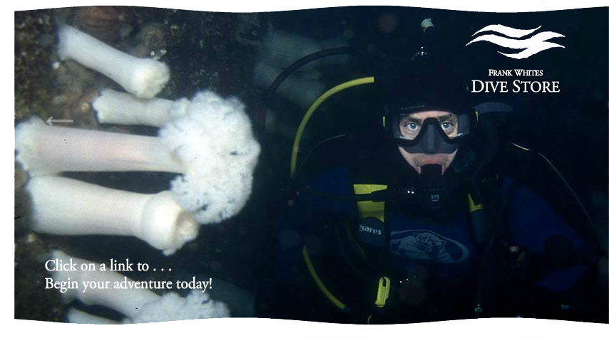 Subscribe To The Frankwhites Newsletter - Scuba Diving (869x483), Png Download