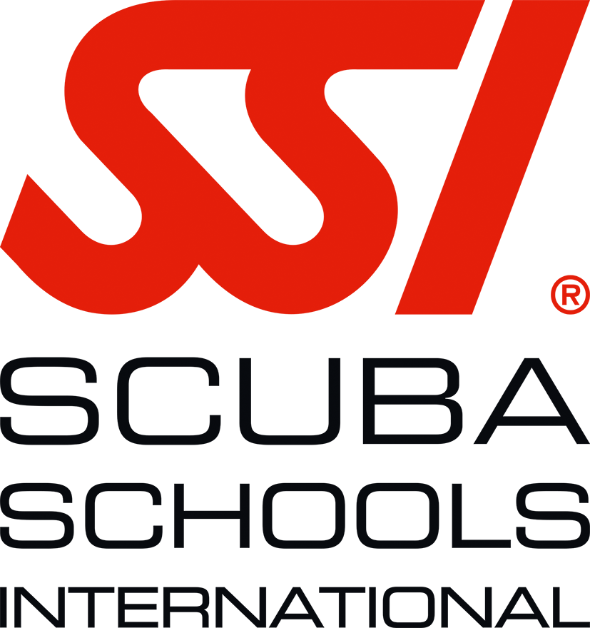 Scuba Diversscuba Divers - Scuba Schools International (827x880), Png Download