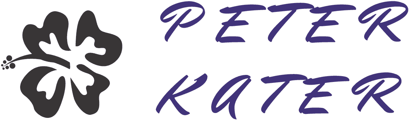 Insurance (1419x520), Png Download