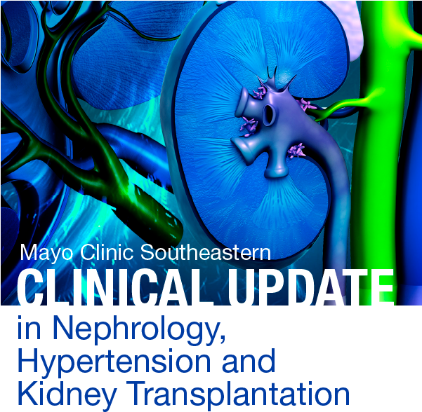 Course - Kidney (600x600), Png Download