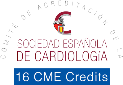 Spontaneous Coronary Artery Dissection - Fundacion Española Del Corazon (432x346), Png Download