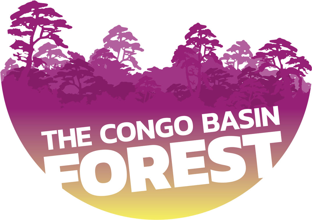 Make A Wish Logo Png (1117x795), Png Download