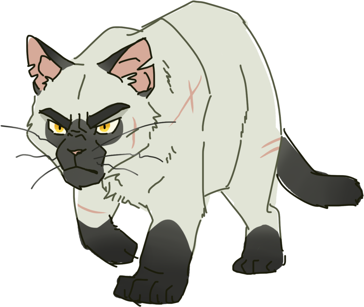 100 Warrior Cats Challenge - Blackstar Warriors (1280x1104), Png Download