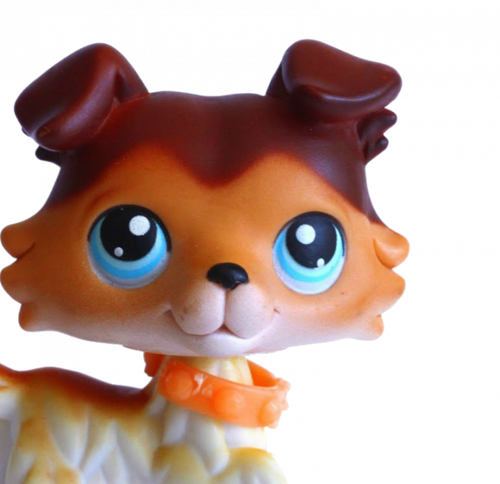 You - Littlest Pet Shop 8 (720x696), Png Download