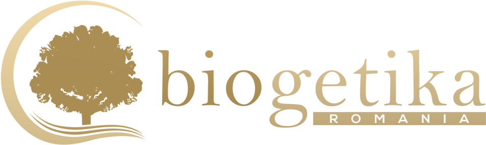 Graphic Design (976x300), Png Download