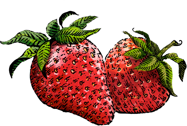 Drawn Strawberry Transparent Background - Siggi's Strawberry Yogurt (764x518), Png Download