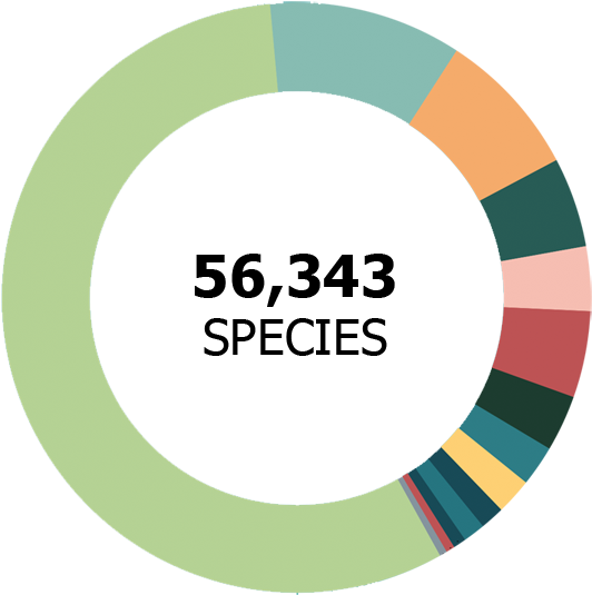 56,343 Species - Species (600x600), Png Download