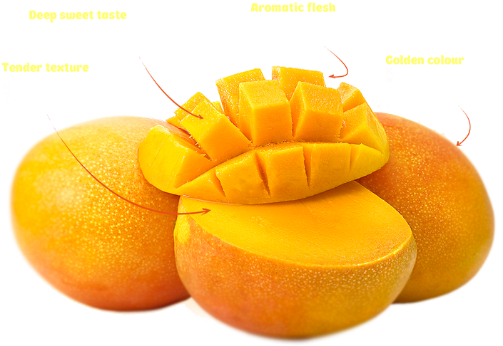 Alphonso Mangoes (704x492), Png Download