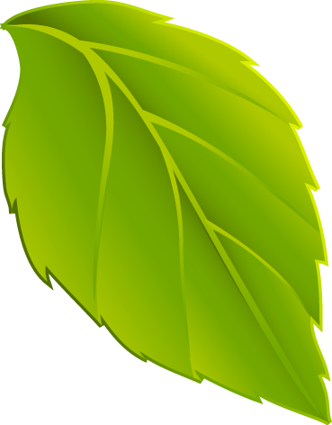 Hojas En Png - Dibujo De Hoja Verde (369x472), Png Download