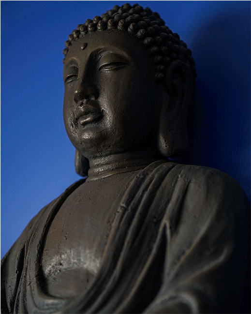 Buddha-transp - Gautama Buddha (1152x648), Png Download