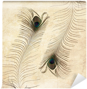 Textured Old Paper Background With Peacock Feather - Feather (400x400), Png Download