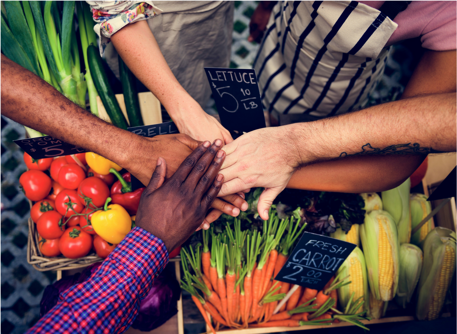 Living Vegan In The Midwest - Community (1920x1080), Png Download