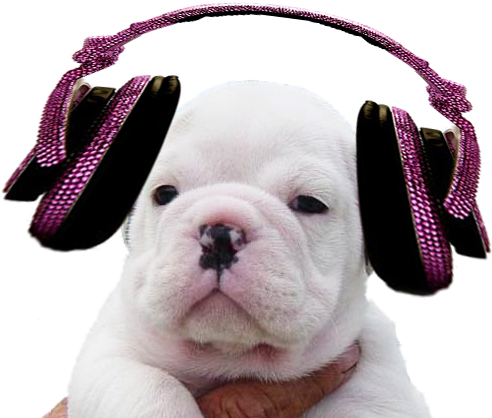 Thursday, 19 May - My Music Icon (502x502), Png Download
