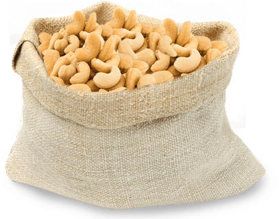 Scorched Wholes - Nuts.com Salted Roasted Cashews 1 Lb Bag - Bulk Sizes (451x351), Png Download