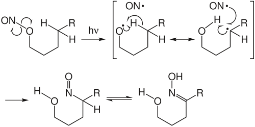 The Carbon Centered Radical Can Be Intercepted By Other - Barton Reaction (500x249), Png Download