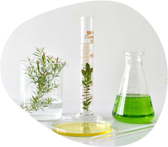 Sustainability In Cosmetics - Science (800x600), Png Download