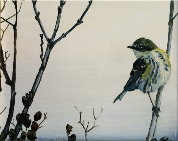 "spring Migration" By Thomas Merriam Harvest Gold Gallery - Old World Flycatcher (600x600), Png Download