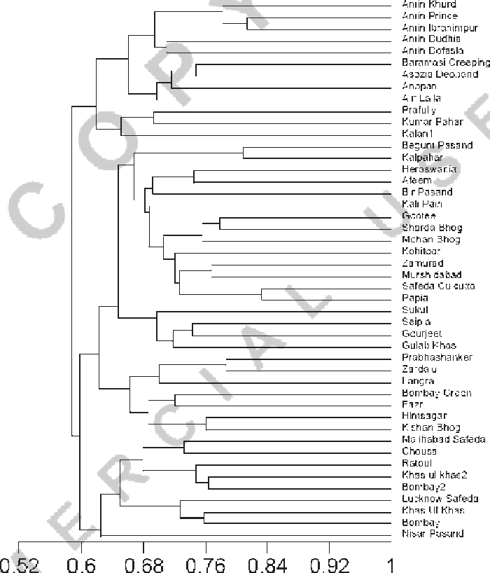 Upgma Tree Based On Jaccard's Coefficient Revealing - Upgma (700x818), Png Download