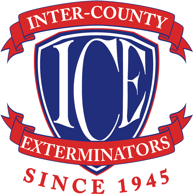 Inter County Exterminator Logo - People Think I Do Meme (800x799), Png Download