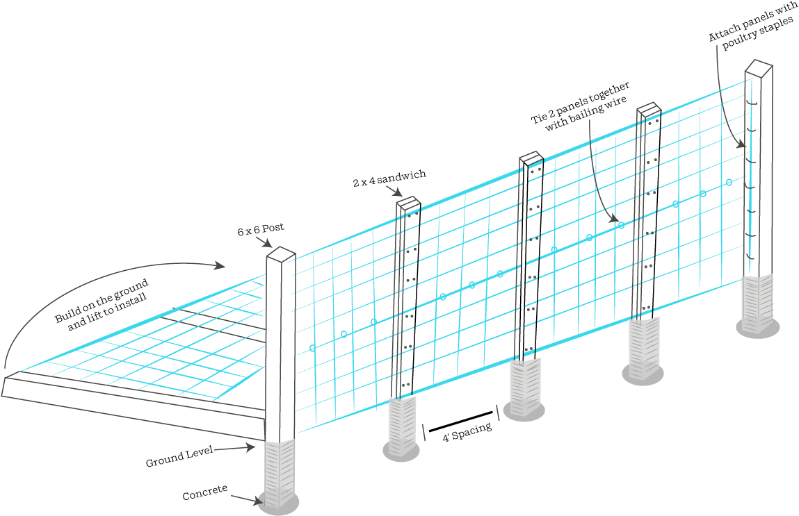 The Panels Are Typically Sold In 16-foot Lengths At - Cattle (1200x769), Png Download