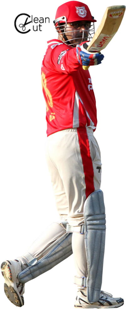 Ipl Renders - Cricket (453x1024), Png Download