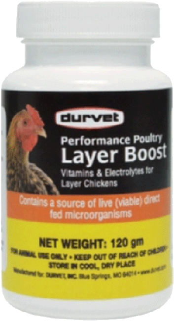 Durvet Performance Poultry Layer Boost Supplement - Layer Boost For Poultry - 100 Gram (700x700), Png Download