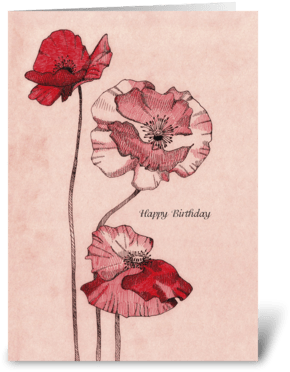 Birthday Drawing Poppy Flowers Greeting Card - Drawing (350x396), Png Download