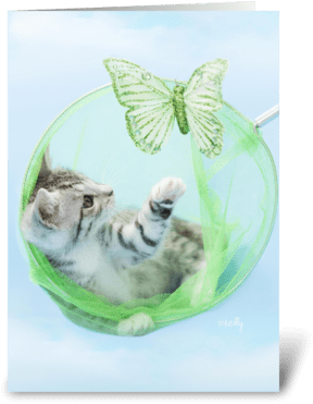 Purr-fect Birthday Catch Kitten Greeting Card - Butterfly (350x396), Png Download
