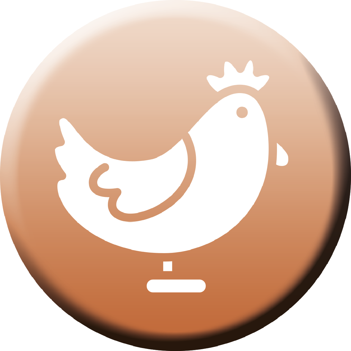 Poultry (1181x1180), Png Download