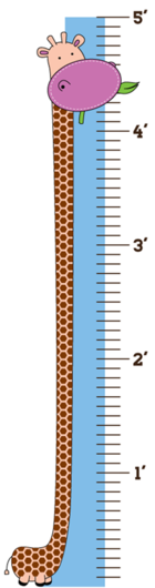 Jungle Buddies Room Growth Chart - Ngo Ton 2010 (600x600), Png Download