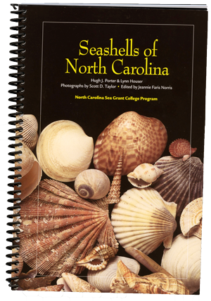 Seashells Book2 Beach Bound - Seashells Of North Carolina (300x429), Png Download