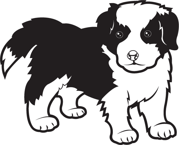 Jpg Black And White Free Clip Art Animals Pets Border - Border Collie Clipart Black And White (570x462), Png Download