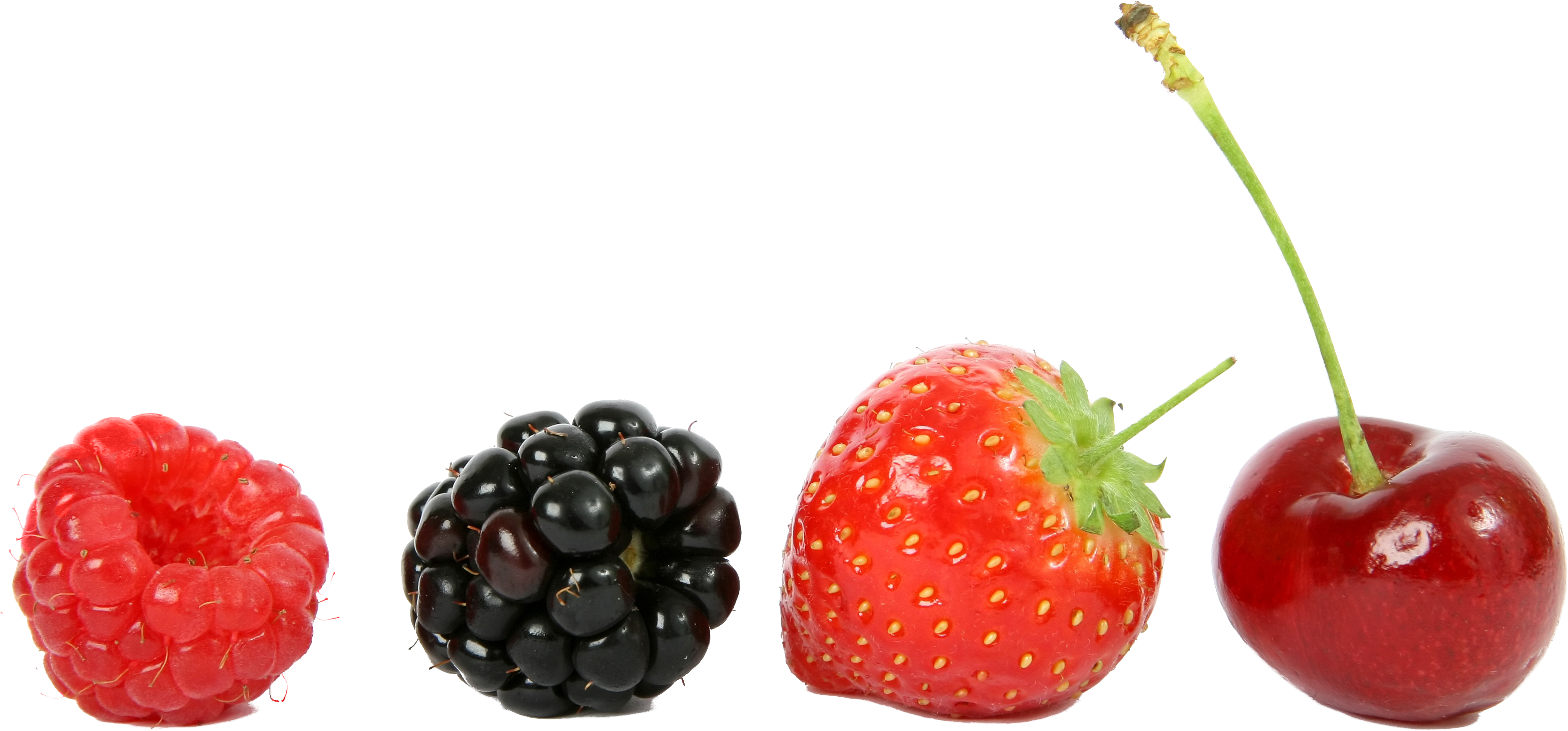 Free Png Food Fruits Png Images Transparent - Berries In A Line (850x411), Png Download