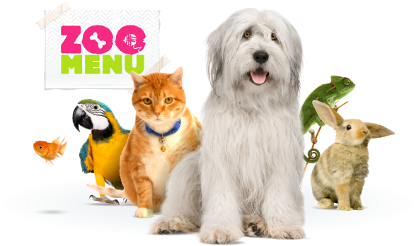 Online Shop For Pets - Pet Shop Animais Png (610x370), Png Download
