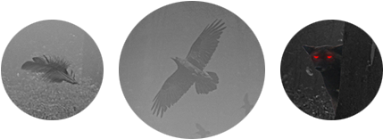 Fade Into Darkness Illustration By Hamzaxdesign This - Betonnen Klok (520x494), Png Download