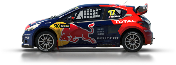 Dirt Rally Peugeot 208 Wrx - Dirt Rally Ford Fiesta (762x293), Png Download
