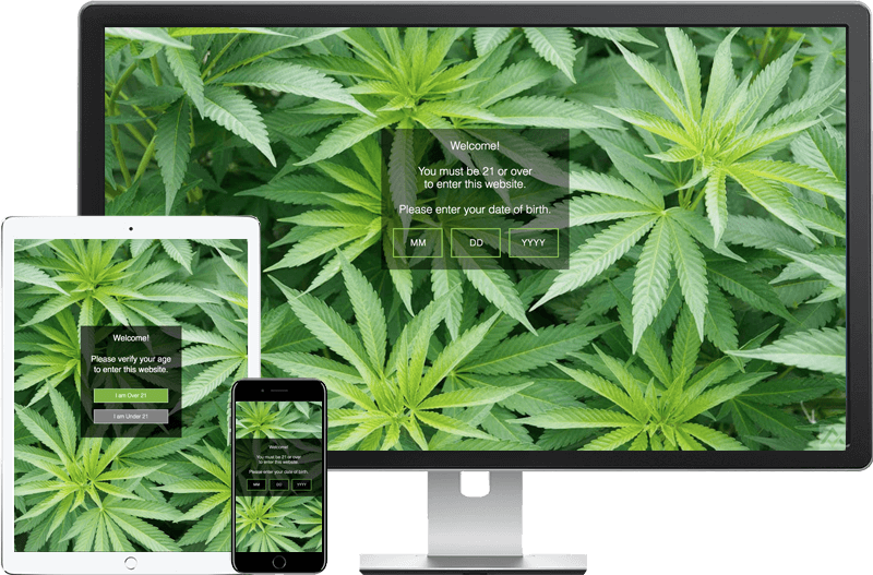 We Recommend Installing The 'basic' Free Version Of - Weed Plant (800x527), Png Download