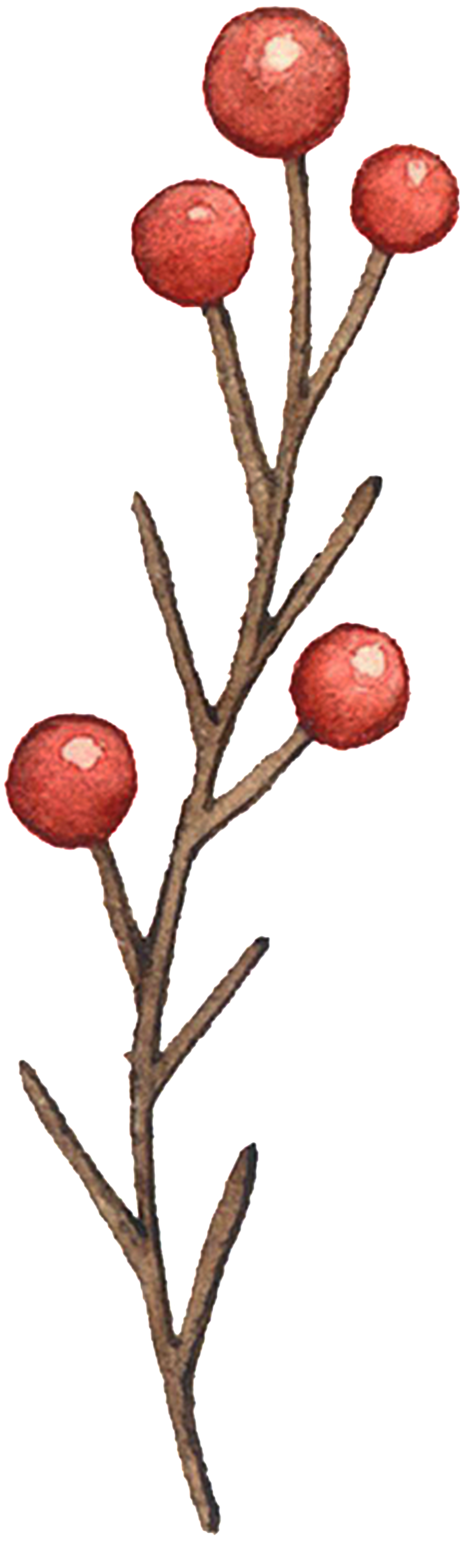 Fruit Watercolor Decoration Illustration - Watercolor Painting (1024x3120), Png Download