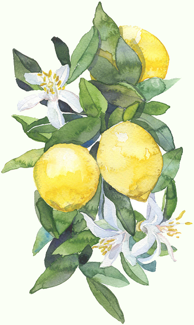 6 Reasons - Lemon Tee Art Print - Mini By Timea Terenyei (384x644), Png Download
